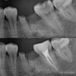 dr-louise-tan-case-9
